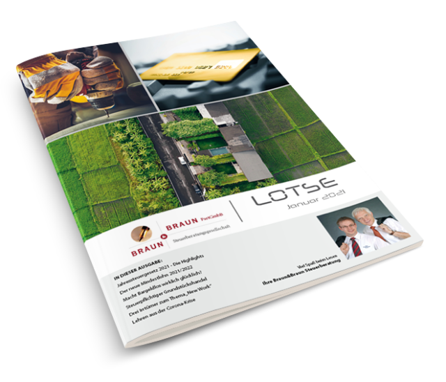 Cover Lotse Braun