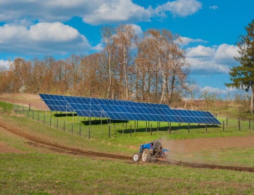Photovoltaik und Speicheranlagen 2026: Steuern, Abschreibung und Einspeisevergütung